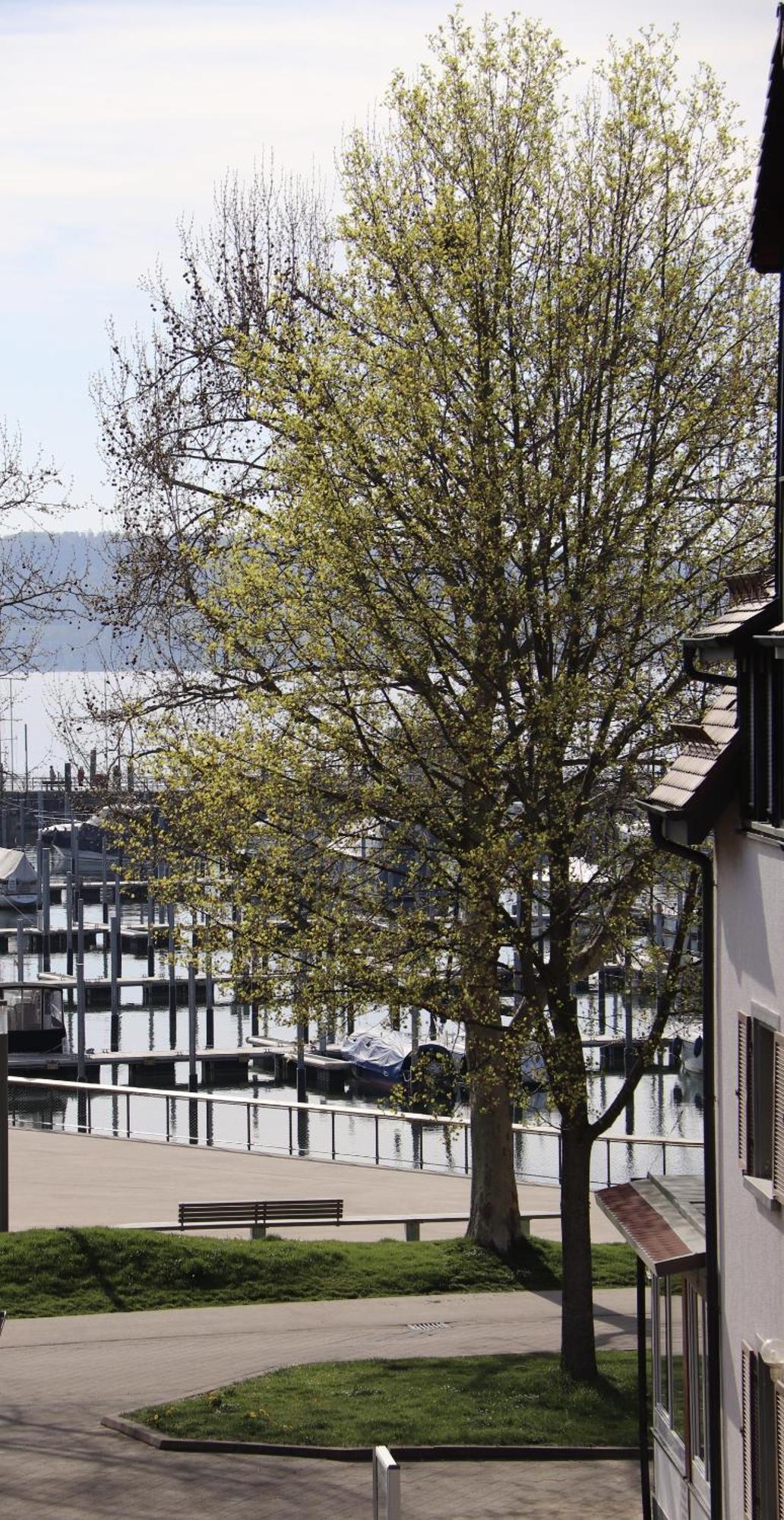 Gaestehaus Maeder Am Hafen Uhldingen-Muehlhofen Exterior photo